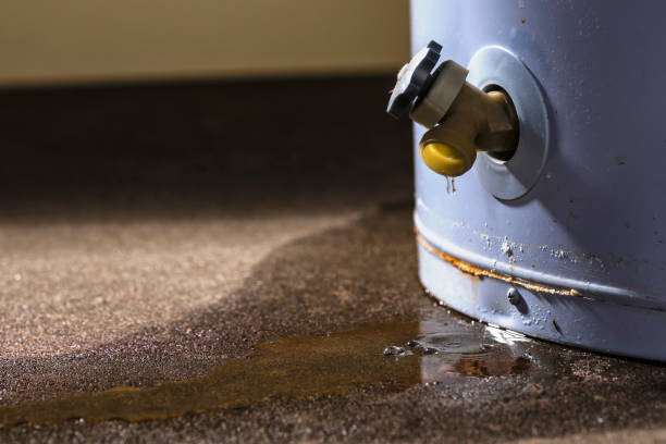 Best Water damage restoration near me  in Staunton, VA