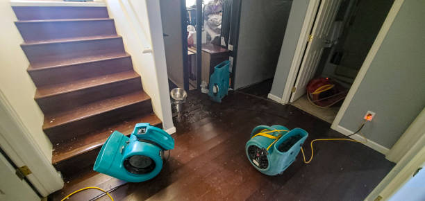 Best Flood restoration services  in Staunton, VA