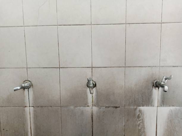 Best Sewage cleanup and water damage restoration  in Staunton, VA