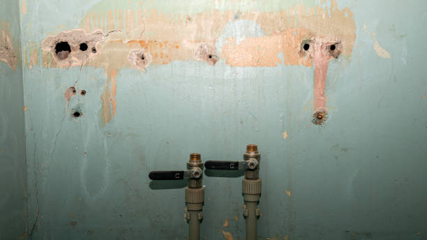 Best Fire Damage Restoration  in Staunton, VA