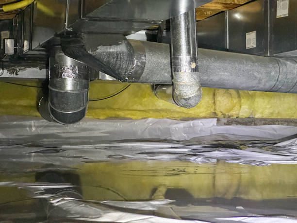 Best Local water damage restoration  in Staunton, VA
