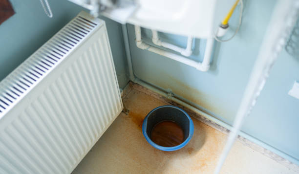 Best Flooded house restoration  in Staunton, VA